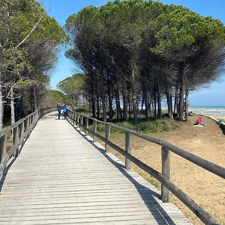 Apartment Stella - One-bedroom Bibione